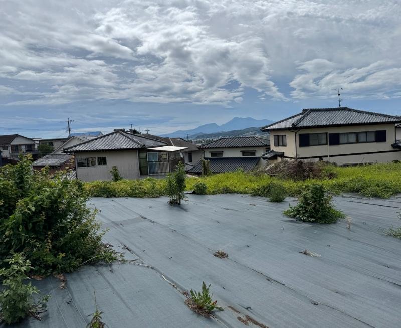 崖の上にある農地の写真（3枚目）
