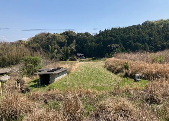 相続した農地ですの写真(1枚目)