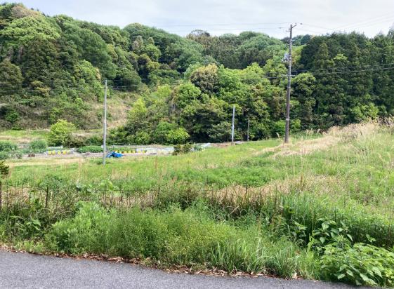 相続した農地ですの写真(3枚目)