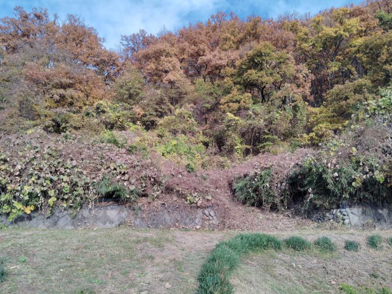 相続して使っていない農地をお譲りしたいですの写真