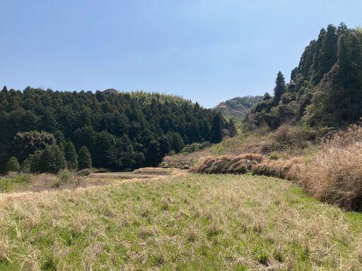 相続した使ってない農地を差し上げますの写真