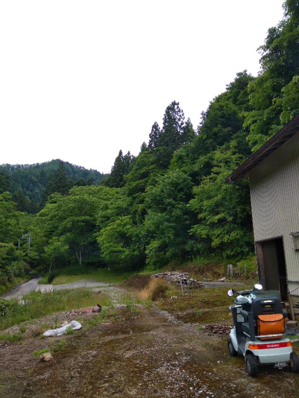 母所有の農地の写真（1枚目）