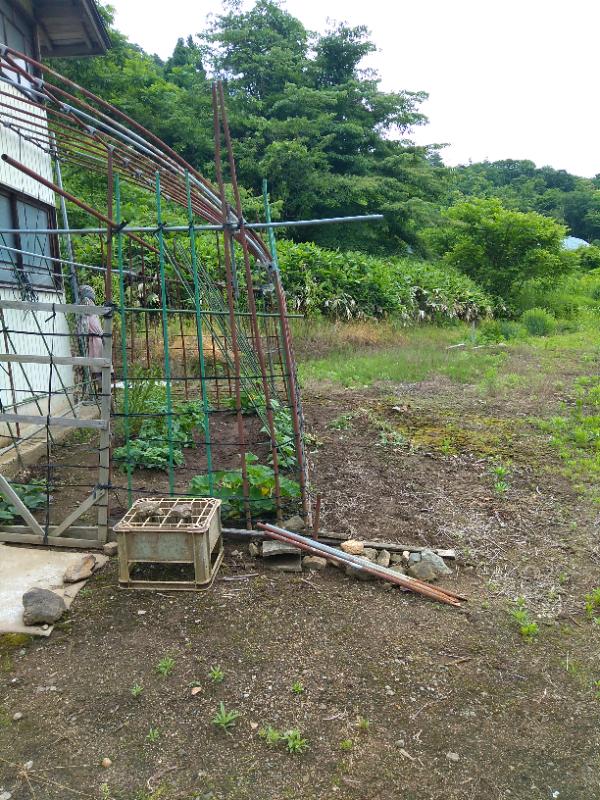 母所有の農地の写真（3枚目）