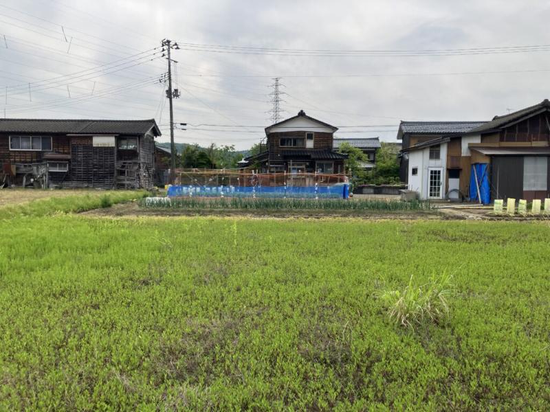 点在する耕作放棄地6筆の写真