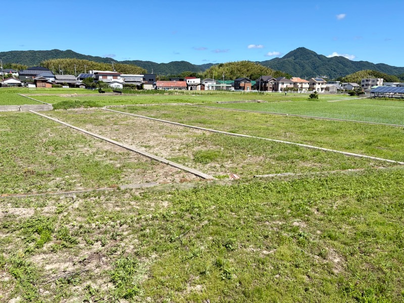 営農しやすい環境が整った農地の写真(1枚目)
