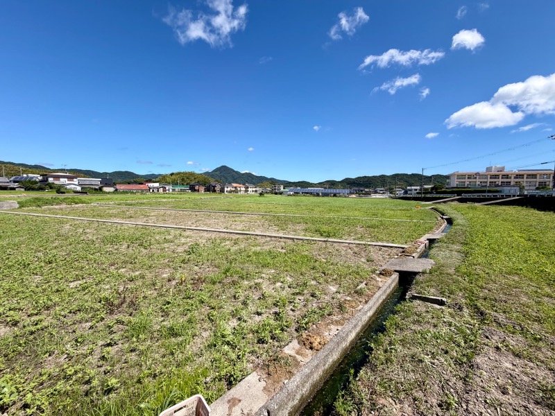 営農しやすい環境が整った農地の写真(3枚目)