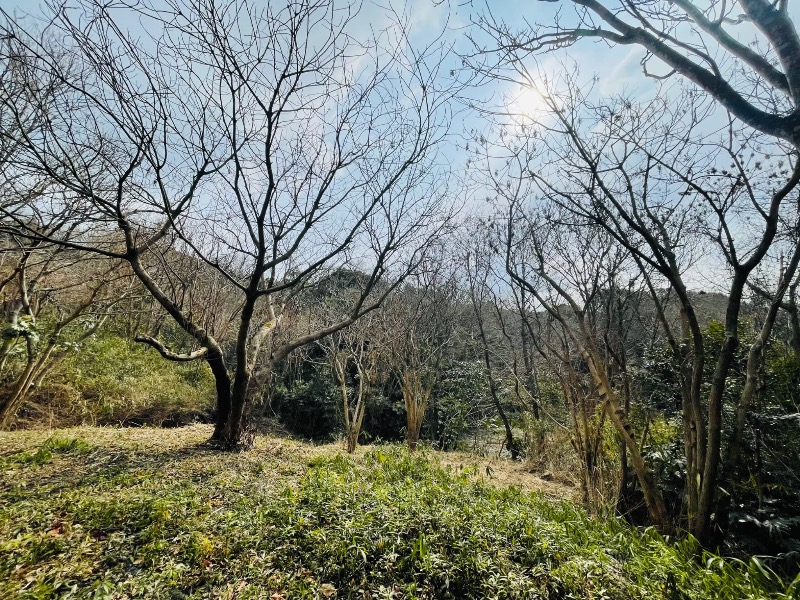 稲作・果樹園をされていた休耕地の写真（5枚目）