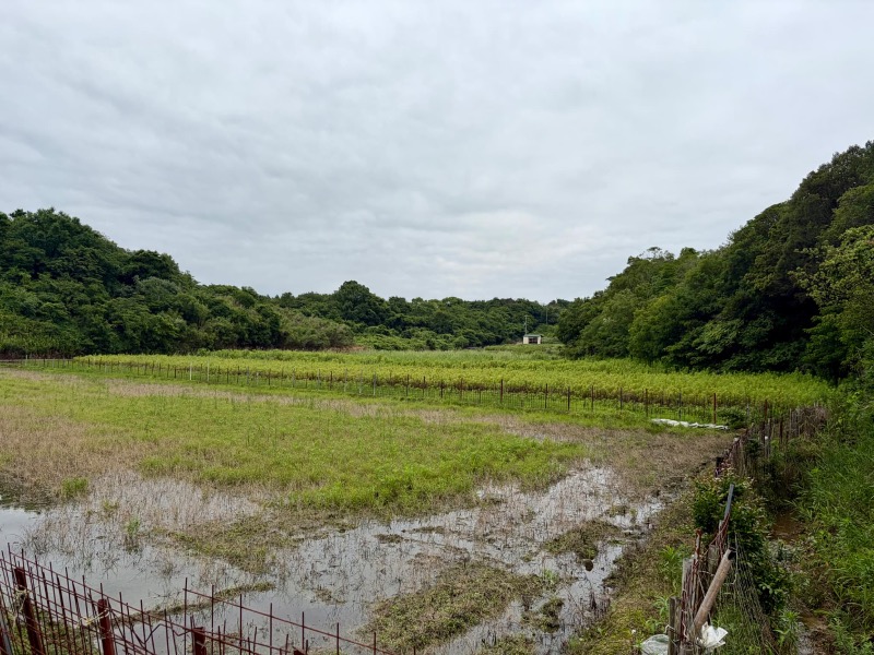 淡路島で、農ある暮らしを。の写真（1枚目）
