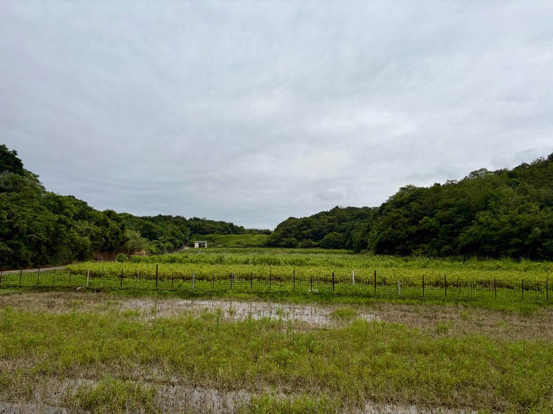 淡路島で、農ある暮らしを。の写真（3枚目）