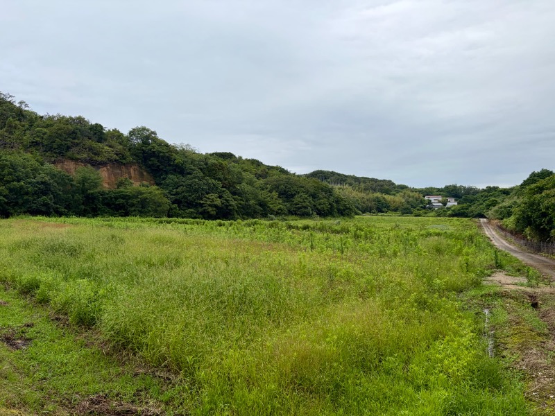 淡路島で、農ある暮らしを。の写真（4枚目）